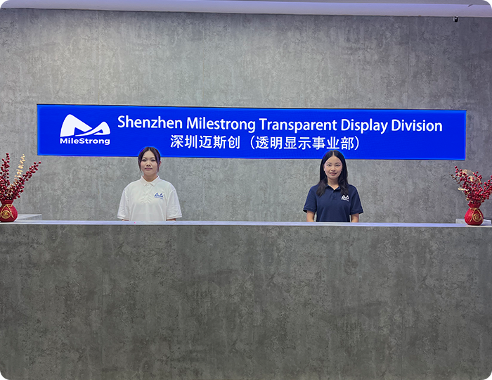 Shenzhen MileStrong