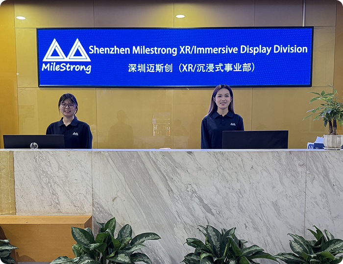 Shenzhen MileStrong